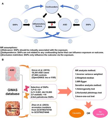 Interactions between circulating inflammatory factors and autism spectrum disorder: a bidirectional Mendelian randomization study in European population